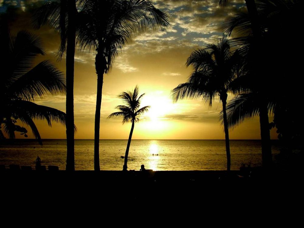 Fassyhole - Patois Dictionary Term | Rastaverse #1 Rastafari Resource Hub
